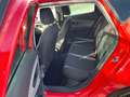 SEAT Leon Reference Red - thumbnail 16