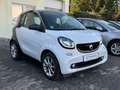 smart forTwo Coupe Passion Klimaaut. Panorama Sitzheizung Temp. Weiß - thumbnail 3