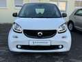 smart forTwo Coupe Passion Klimaaut. Panorama Sitzheizung Temp. Weiß - thumbnail 2