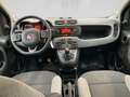 Fiat Panda City Life 70 PS Hybrid Schalter Schwarz - thumbnail 19