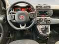 Fiat Panda City Life 70 PS Hybrid Schalter Schwarz - thumbnail 15