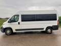 Fiat Ducato L4H2 verglast Klima Navi Tempo Standheiz. Weiß - thumbnail 5
