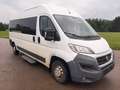Fiat Ducato L4H2 verglast Klima Navi Tempo Standheiz. Weiß - thumbnail 1