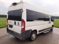 Fiat Ducato L4H2 verglast Klima Navi Tempo Standheiz. Weiß - thumbnail 3