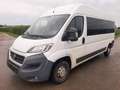 Fiat Ducato L4H2 verglast Klima Navi Tempo Standheiz. Weiß - thumbnail 4