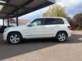 Mercedes-Benz GLK 320 GLK 320 CDI 4Matic*1.Hand*HU NEU*Panorama* Weiß - thumbnail 5