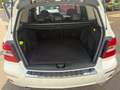 Mercedes-Benz GLK 320 GLK 320 CDI 4Matic*1.Hand*HU NEU*Panorama* Weiß - thumbnail 12