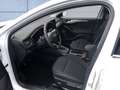 Ford Focus Titanium Design Turnier 1.0 EcoBoost MHEV Blanc - thumbnail 8
