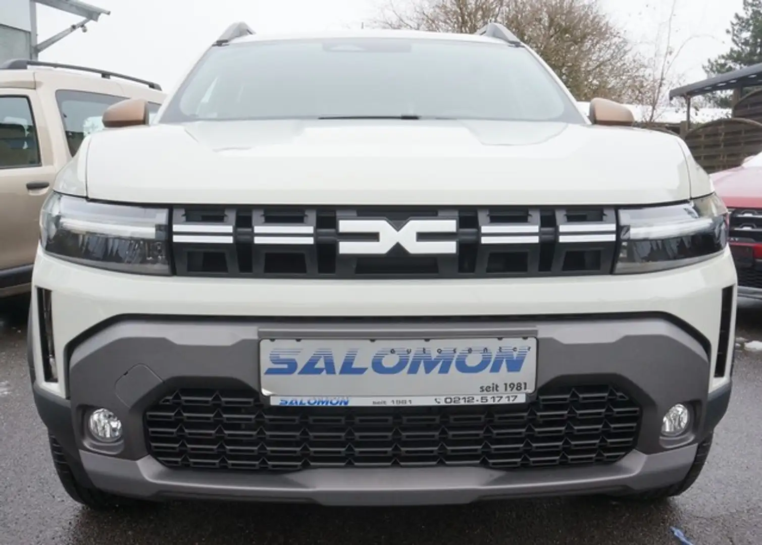 Dacia Duster III TCe130 Extreme+Winterpaket+4xCam Beige - 2