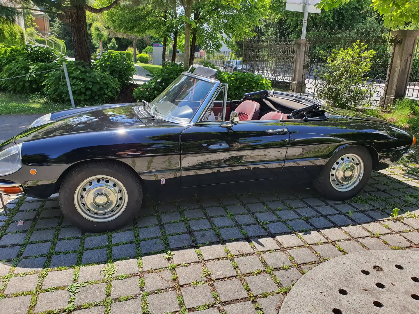 Alfa Romeo Spider 1750 Duetto Spider Schwarz - 2