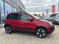 Fiat Panda MY23 RED Hybrid 1.0 GSE *CARPLAY*KLIMAAUTO*BT* Rot - thumbnail 4
