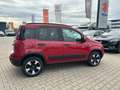 Fiat Panda MY23 RED Hybrid 1.0 GSE *CARPLAY*KLIMAAUTO*BT* Rosso - thumbnail 5