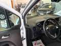 Ford Transit Courier FORD  2021Transit Courier 1.5 TDCi 75CV Van Trend Blanco - thumbnail 13