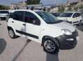 Fiat Panda Panda 0.9 Twin Air 4x4 Van Bianco - thumbnail 2