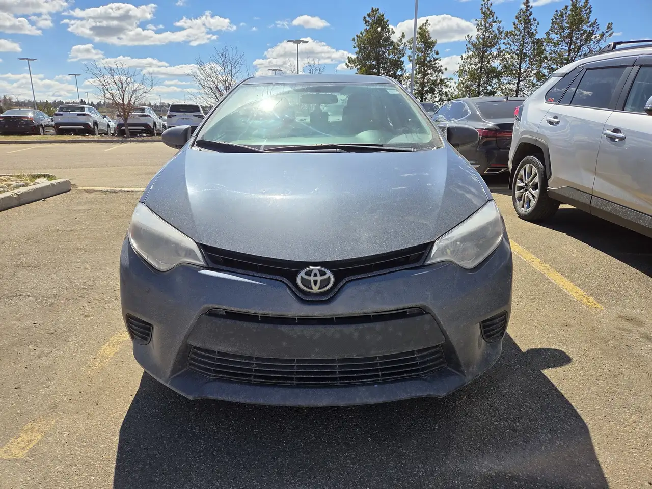 Toyota Corolla снимка Toyota Corolla