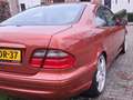 Mercedes-Benz CLK 430 Elegance Arancione - thumbnail 7