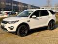 Land Rover Discovery Sport TD4 Aut. HSE Lichte vracht! Black pack! Topstaat Wit - thumbnail 7