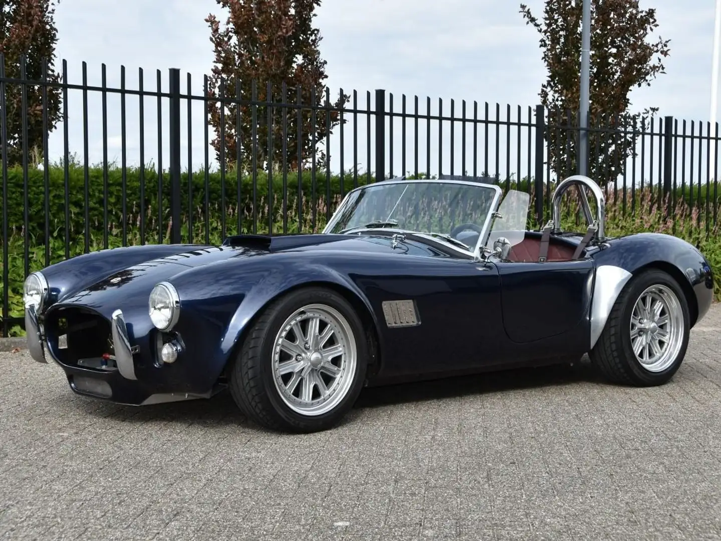AC Cobra Recreation Albastru - 2