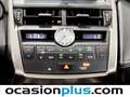 Lexus NX 300 300h Corporate 2WD + Navibox Gris - thumbnail 39