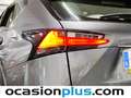 Lexus NX 300 300h Corporate 2WD + Navibox Gris - thumbnail 17