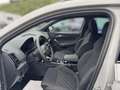 Skoda Karoq Sportline 2,0 TSI DSG 4X4 Matrix Pano AHK Klima Gris - thumbnail 7