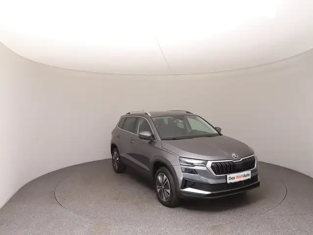 Skoda Karoq view 2