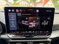 CUPRA Formentor VZ 2.0 TSI DSG 4Drive NAVI Sennheiser Weiß - thumbnail 14