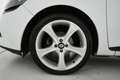 Renault Clio Sporter 1.5 dci Live 75cv X COMMERCANTI NEOPATENTA Blanc - thumbnail 41