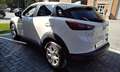 Mazda CX-3 CX-3 1.5d Exceed 2wd 105cv Bianco - thumbnail 5