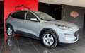 Ford Kuga 1.5 EcoBlue 120 CV aut. 2WD Titanium Business Grigio - thumbnail 3