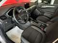 Ford Kuga 1.5 EcoBlue 120 CV aut. 2WD Titanium Business Grigio - thumbnail 8