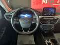 Ford Kuga 1.5 EcoBlue 120 CV aut. 2WD Titanium Business Grigio - thumbnail 11