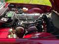 Triumph TR6 Soft Top Rouge - thumbnail 7