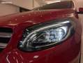 Mercedes-Benz B 180 Mercedes 180 122ch SPORT 7G-DCT Rot - thumbnail 12