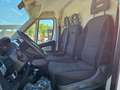 Fiat Ducato 28 2.0 MJT 120CV PC FRIGO 0° Bianco - thumbnail 13