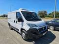 Fiat Ducato 28 2.0 MJT 120CV PC FRIGO 0° Bianco - thumbnail 3