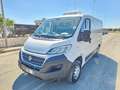 Fiat Ducato 28 2.0 MJT 120CV PC FRIGO 0° Bianco - thumbnail 1