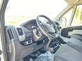 Fiat Ducato 28 2.0 MJT 120CV PC FRIGO 0° Bianco - thumbnail 14