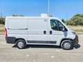 Fiat Ducato 28 2.0 MJT 120CV PC FRIGO 0° Bianco - thumbnail 5