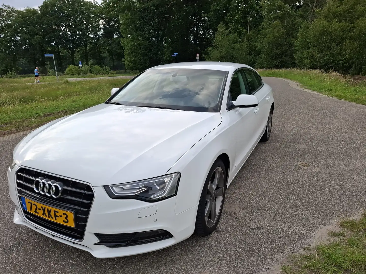 Audi A5 A5 1.8 TFSI Pro Line Wit - 1