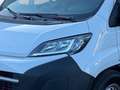 Opel Movano  D 2.2 Automatik neues Modell 27491NETTO 1 Weiß - thumbnail 12