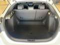 Honda Civic 2.0 Hev eCVT Sport *PRONTA CONSEGNA* Blanc - thumbnail 9