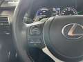 Lexus NX 300 300h Premium 2WD Gris - thumbnail 29
