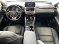 Lexus NX 300 300h Premium 2WD Gris - thumbnail 17