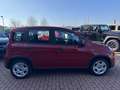 Fiat Panda MJ 24 PDC/DAB Rojo - thumbnail 6