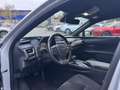 Lexus UX 250h Comfort Line TREKHAAK KEY-LESS NAVI CARPLAY AD-CRU Grau - thumbnail 13