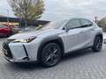 Lexus UX 250h Comfort Line TREKHAAK KEY-LESS NAVI CARPLAY AD-CRU Grau - thumbnail 9