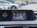 Lexus UX 250h Comfort Line TREKHAAK KEY-LESS NAVI CARPLAY AD-CRU Grau - thumbnail 24