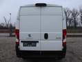 Peugeot Boxer L2H2 Kasten /€ 16.583,- netto / NAVI KAMERA Weiß - thumbnail 5