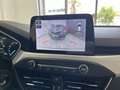 Ford Focus Focus V 2018 1.5 ecoblue Business s Argento - thumbnail 10